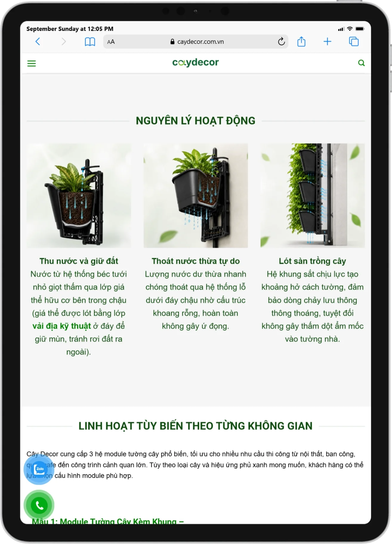 Bai viet AEO tren caydecor.com.vn hien thi tren iPad Pro
